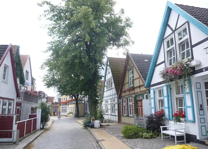 Strandmuschel, Ca 100M Z. Alten Strom